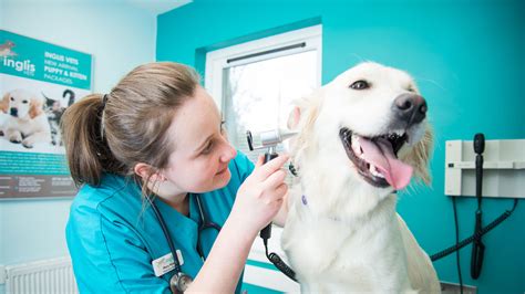 Veterinary Clinic Services .